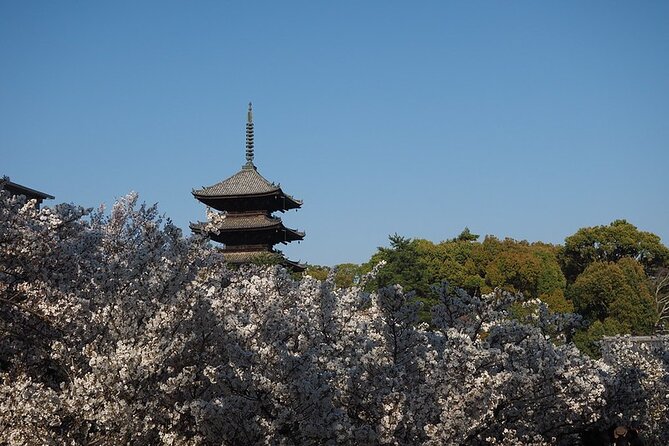 Kyotos World Heritage Walking Tour From Kyoto St. - Customization and Flexibility