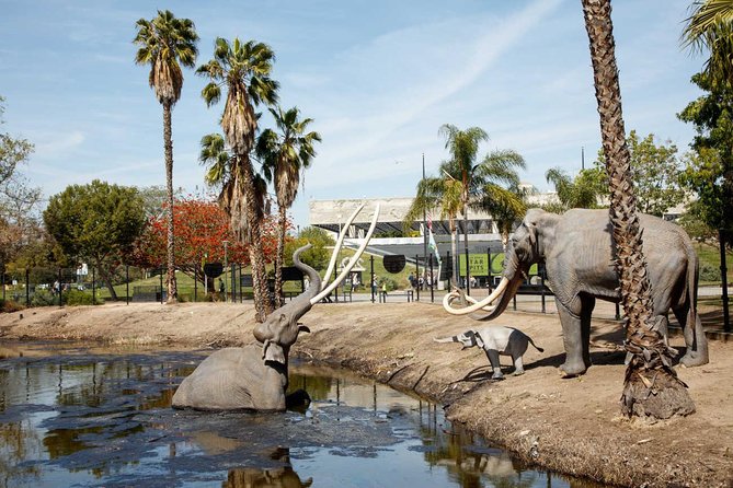 La Brea Tar Pits and Museum Admission Ticket With Excavator Tour - Visitor Experience
