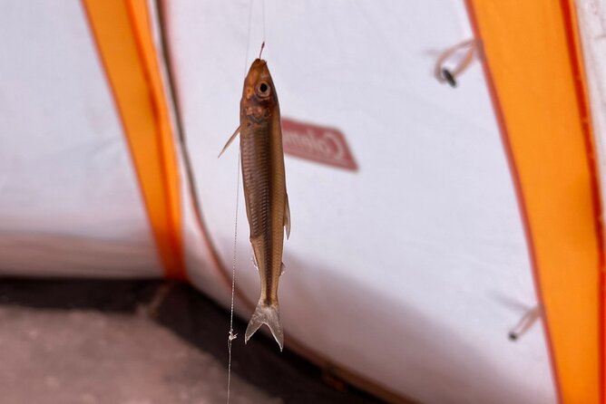 Lake Nukabira Smelt Fishing Private Tour - Location and Accessibility