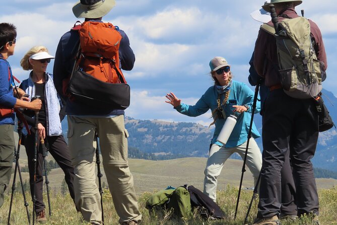 Lamar Valley Safari Hiking Tour With Lunch - Wildlife Experience