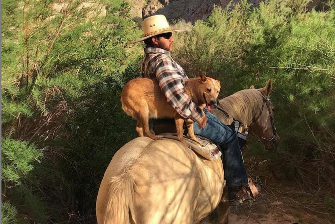 Las Vegas Horseback Ride With Meal - Safety and Requirements