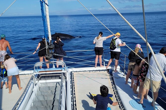 Late Morning Whale Watch Cruise From Abay - Inclusions and Amenities