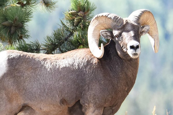 Lower Valley Tour RMNP - Transportation and Communication