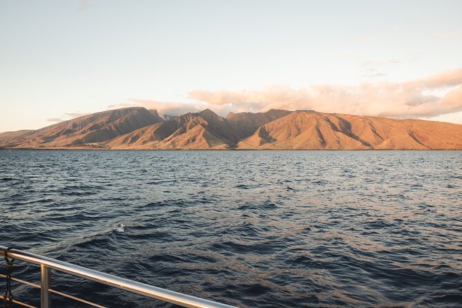 Luxury Catamaran Royal Sunset Dinner Sail (Adults-Only) - Dining Experience