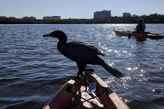Mangrove Tunnels Pedal Kayak Eco-Tour in Anna Maria - Experiencing the Coastal Ecosystem