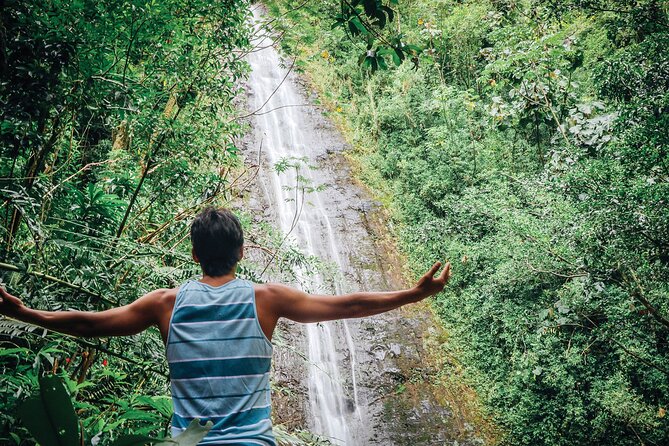 Manoa Waterfall Hike From Waikiki With Healthy Lunch Included - Highlights of the Tour