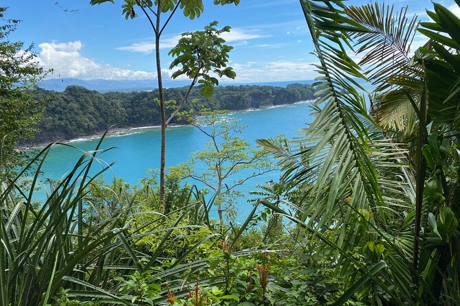 Manuel Antonio National Park, PRIVATE Day Tour From Jaco - Transportation and Pickup Details