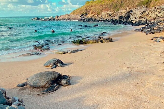 Maui's Sea Turtles, Waterfalls and Road to Hana Adventure - Highlights of the Road to Hana