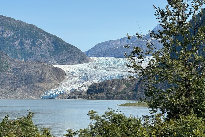 Mendenhall Glacier and Whale Watching Tour - Customer Reviews and Experiences