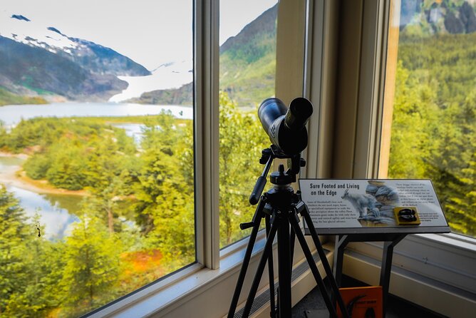 Mendenhall Glacier Express Tour - What to Expect on the Tour