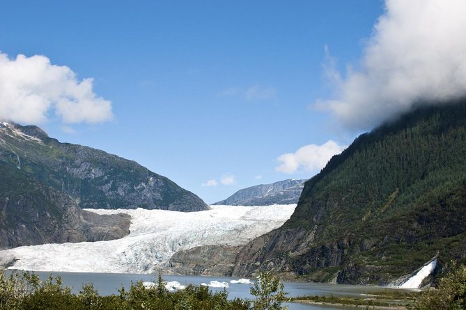 Mendenhall Glacier Trolley Tour - Exploring the Glacier