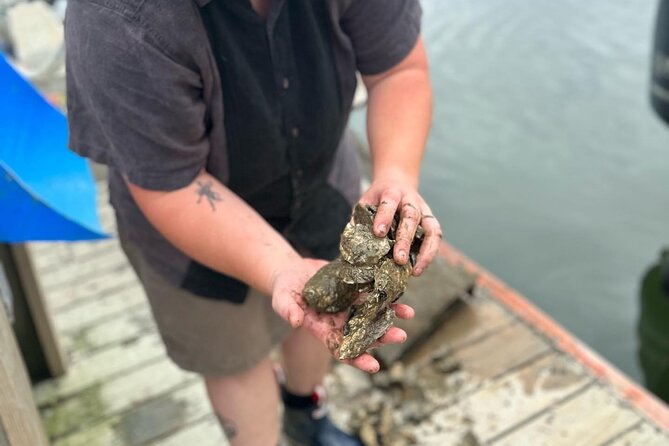 Mere Point Oyster Farm Tour - Inclusions and Benefits