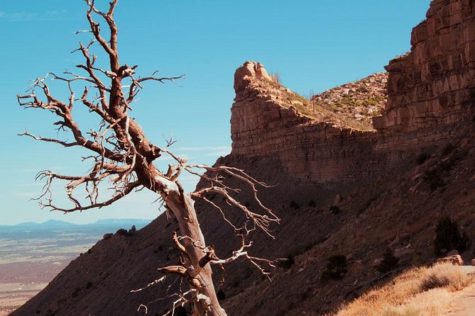 Mesa Verde Immersive Tour - Tour Highlights and Features