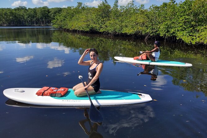 Miami Kayak and Paddleboard Rentals in Virginia Key - Pricing and Booking Information