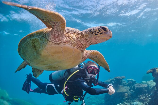 Miami Two Tank Dive Trip - Included Amenities