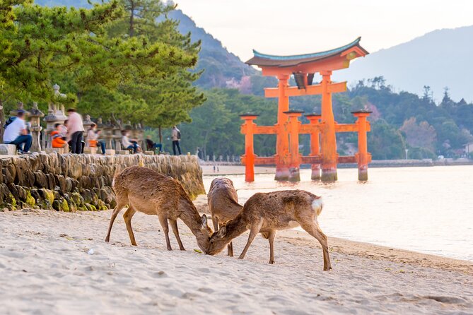 Miyajima Island Day Tour in Sacred Sites and Mount Misen - Tour Schedule and Availability