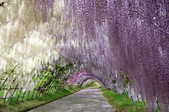 Mojiko Retro, Kawachi Wisteria and Shiranoe Gardens Tour YokaBus - Inclusions