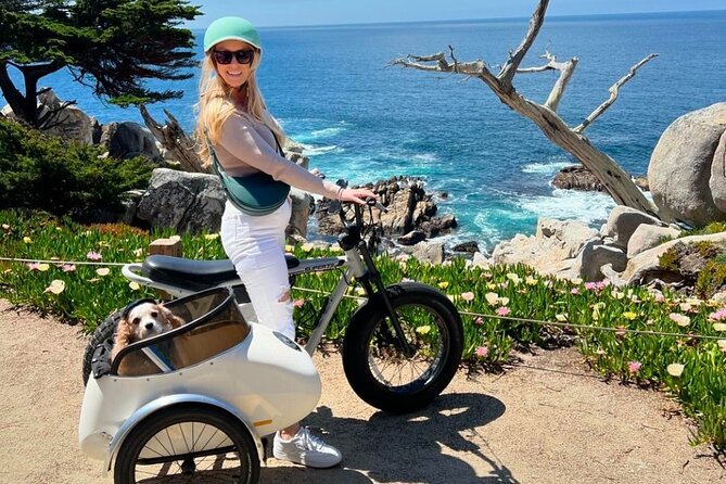 Monterey Bay Famous Dog Friendly Electric Bike and Sidecar Tour - Features of the Electric Bike and Sidecar