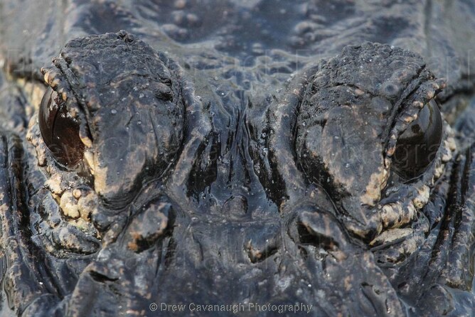 Mosquito Lagoon Sight Fishing Charters Near Orlando Florida - Pricing and Group Information