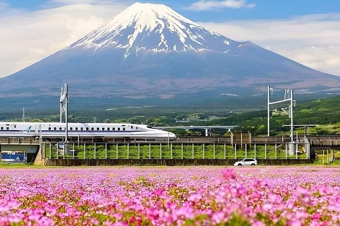Mount Fuji 5th Station Kawaguchiko Gotemba Mall Tour From Tokyo - Inclusions and Exclusions