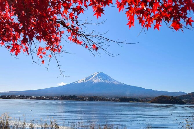 Mount Fuji and Lake Kawaguchi Private Day Trip From Tokyo - Pickup Information and Guidelines