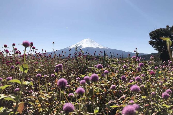Mount Fuji One Day Tour From Tokyo Japan - Meeting and Departure Information