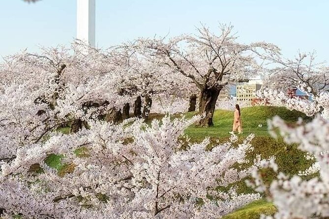 Mount Fuji Sightseeing One Day Tour From Shinjuku - Inclusions