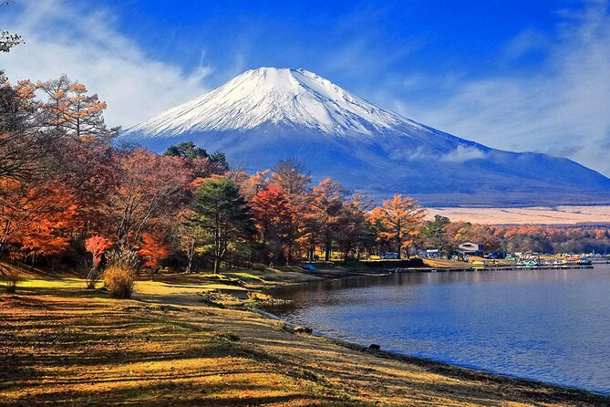 Mount Fuji Sightseeing One Day Tour From Tokyo - Inclusions and Exclusions