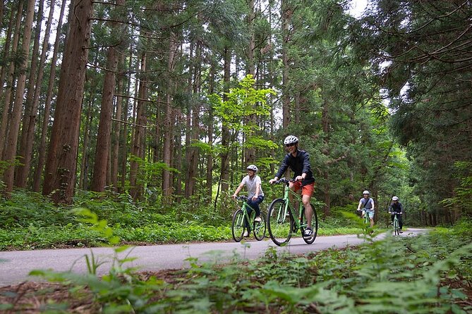 Mount Haguro E-Bike Sightseeing Tour in Yamagata, Japan - Inclusions