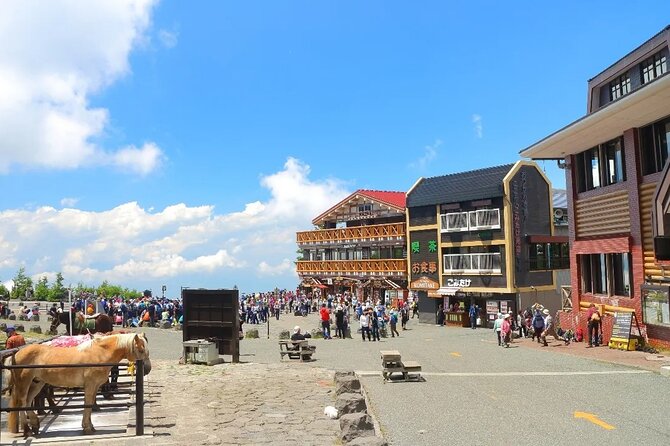 Mt Fuji and Hakone One Day Tour Departure From Tokyo With Lunch - Departure and Meeting Point