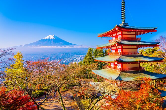 Mt. Fuji and Hakone Private Day Tour With English Speaking Guide - Inclusions and Accessibility