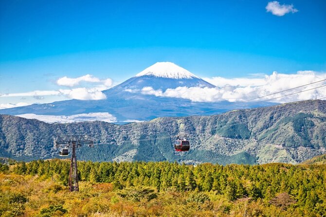 Mt Fuji and Hakone Private Day Tour - Discovering Hakone