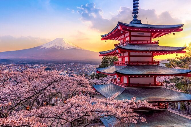 Mt. Fuji Cherry Blossom and Shibasakura Festival Tour - Inclusions