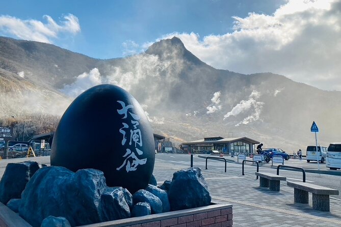 Mt. Fuji & Hakone Private Tour With English-Speaking Guide - Health and Accessibility