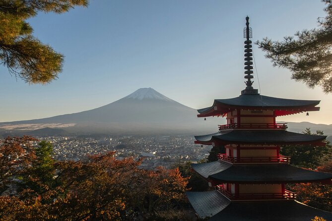 Mt.Fuji Private Day Trip From Tokyo With Driver & Top Photo Spots - Driver and Language Support