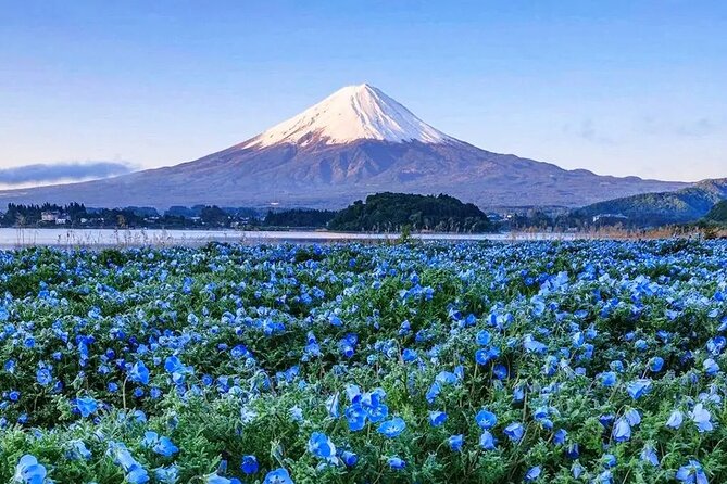 Mt Fuji Scenic Views and Lake Kawaguchi Floral Tour From Tokyo - Inclusions and Exclusions