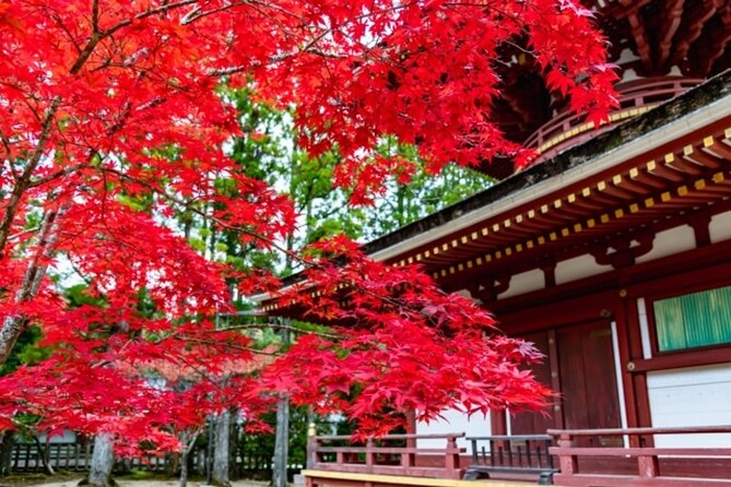 Mt Koya 1 Day Bus Tour From Osaka - Meeting and Pickup