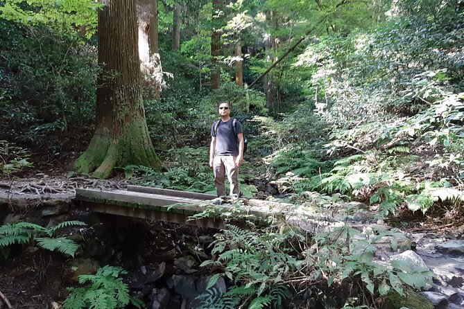 Mt. Takao With Hot Spring Private Tour - Tour Inclusions
