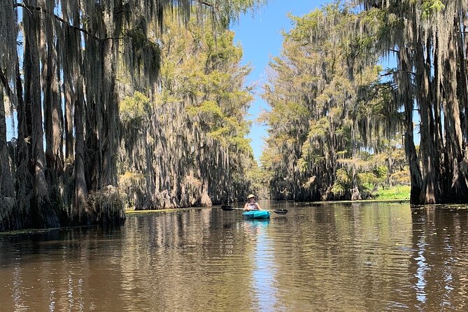Mystical Private Kayak and Canoe Tours on Caddo Lake - Tour Details and Accessibility