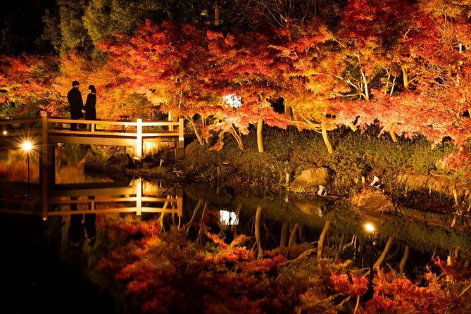 Nagashima Mitsui Park and Nagashima Hot Spring One Day Tour - Inclusions and Additional Costs