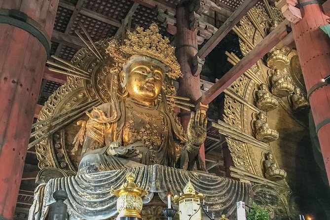 Nara Private Day Trip - Enjoy Your First-Time Visit to Nara! - Inclusions and Costs