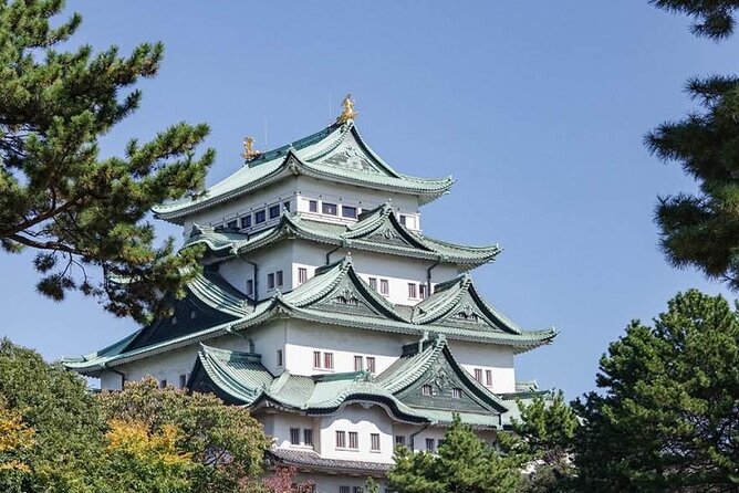 Nara, Todaiji Temple and Kuroshio Market One Day Tour From Osaka - Meeting and Pickup