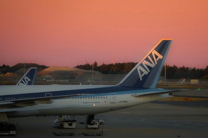 Narita or Haneda Airport Private Transfer to Hotel or Airbnb - Pickup and Drop-off Details