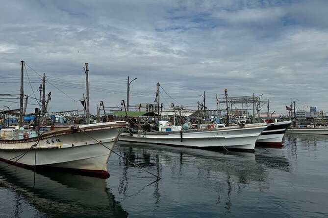 Near KIX Fishing Market Tour With Local Guide - Inclusions