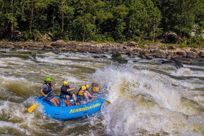 New River Gorge Whitewater Rafting, WV - Lower New Full Day - Inclusions and Amenities Provided