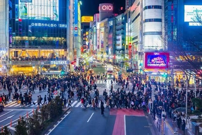 Night Tour Tokyo in Shinjuku - Highlights of the Tour