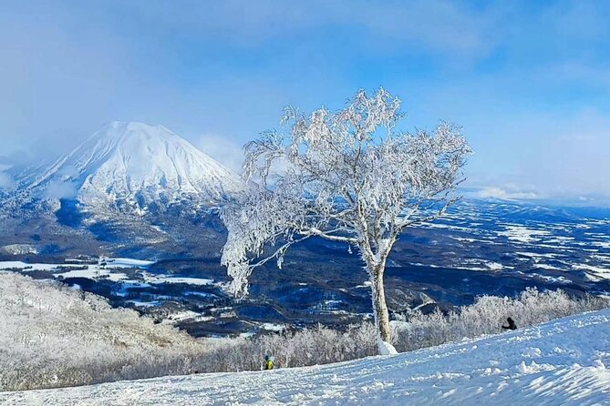 Niseko to Chitose Airport or Sapporo Private Transfer - Inclusions