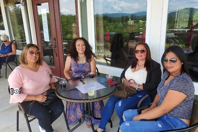 North Georgia Mountains Two Vineyard Wine Tasting Tour - Winery Experiences