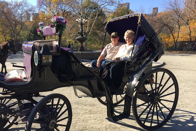 NYC Central Park VIP Horse and Carriage Ride - Booking Information