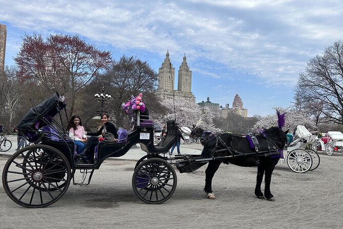 NYC Empire State Horses Carriage Ride in Central Park (45 Mins) - Accessibility